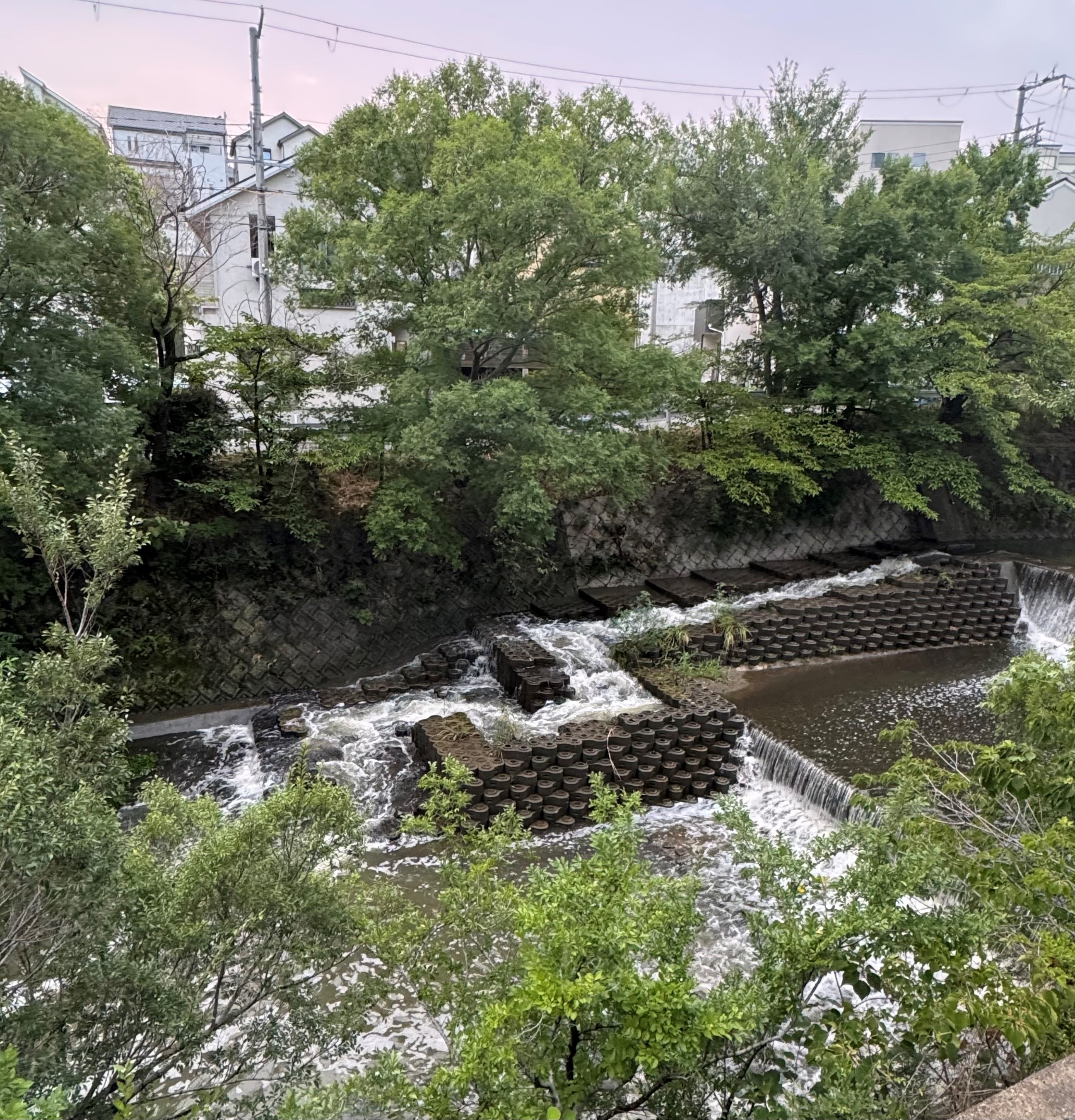 階段式魚道の写真
