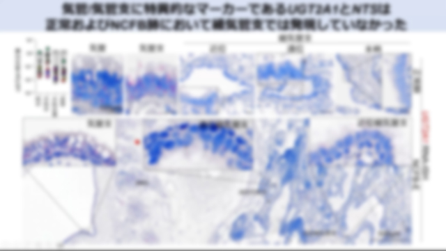 日本呼吸器学会